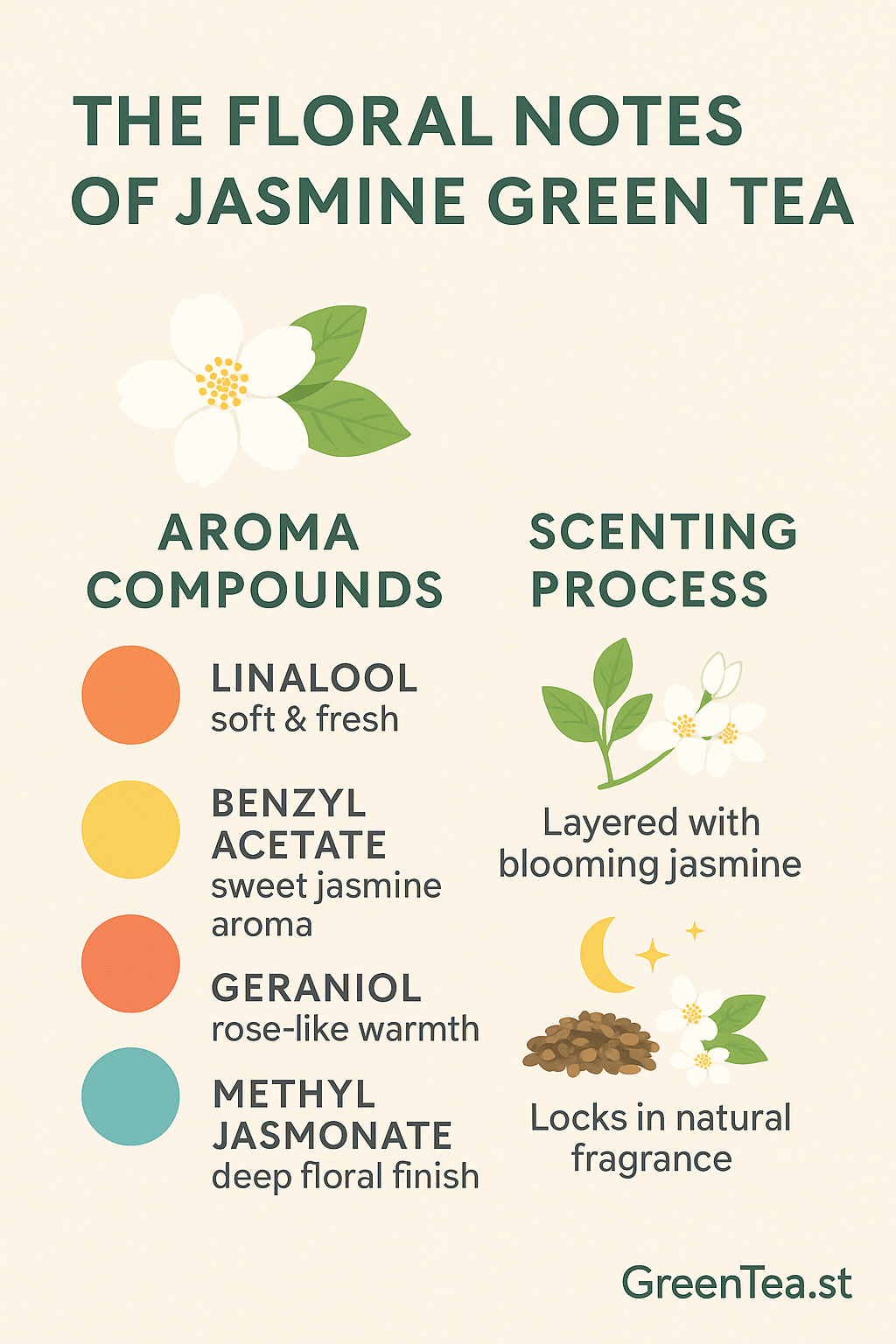 Floral Aroma in Jasmine Green Tea
