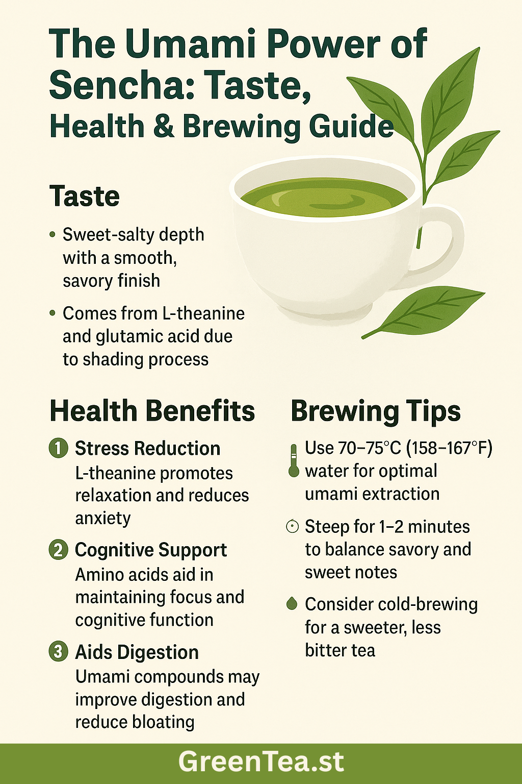 How to Brew Sencha for Maximum Umami